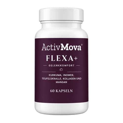 activmova
